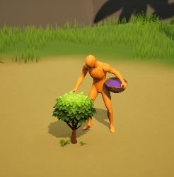 Gathering Bush